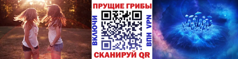 где найти Мамадыш Галлюциногенные грибы GOLDEN TEACHER
